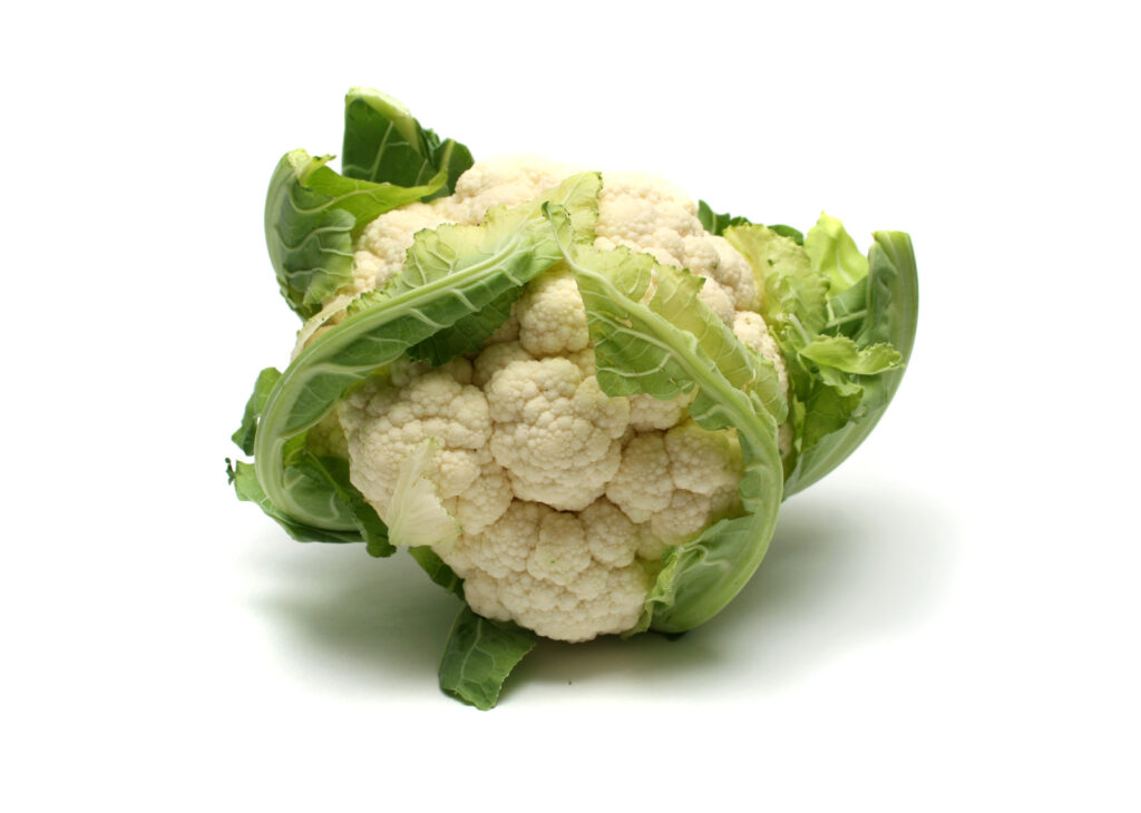 Vegetarische stamppot