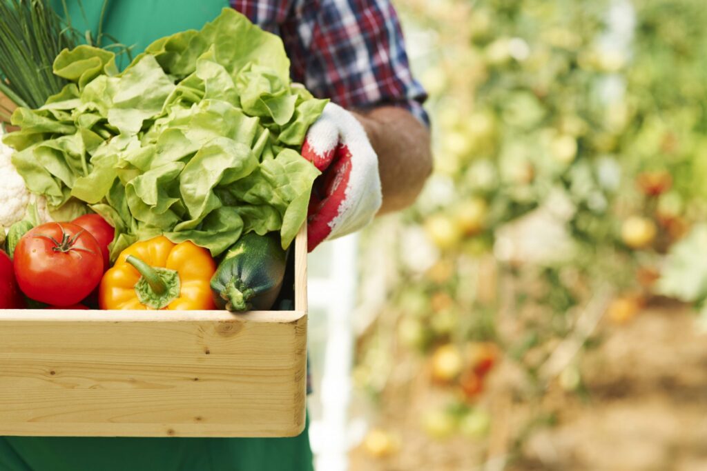 Duurzaam opvoeden is een eigen moestuintje hebben