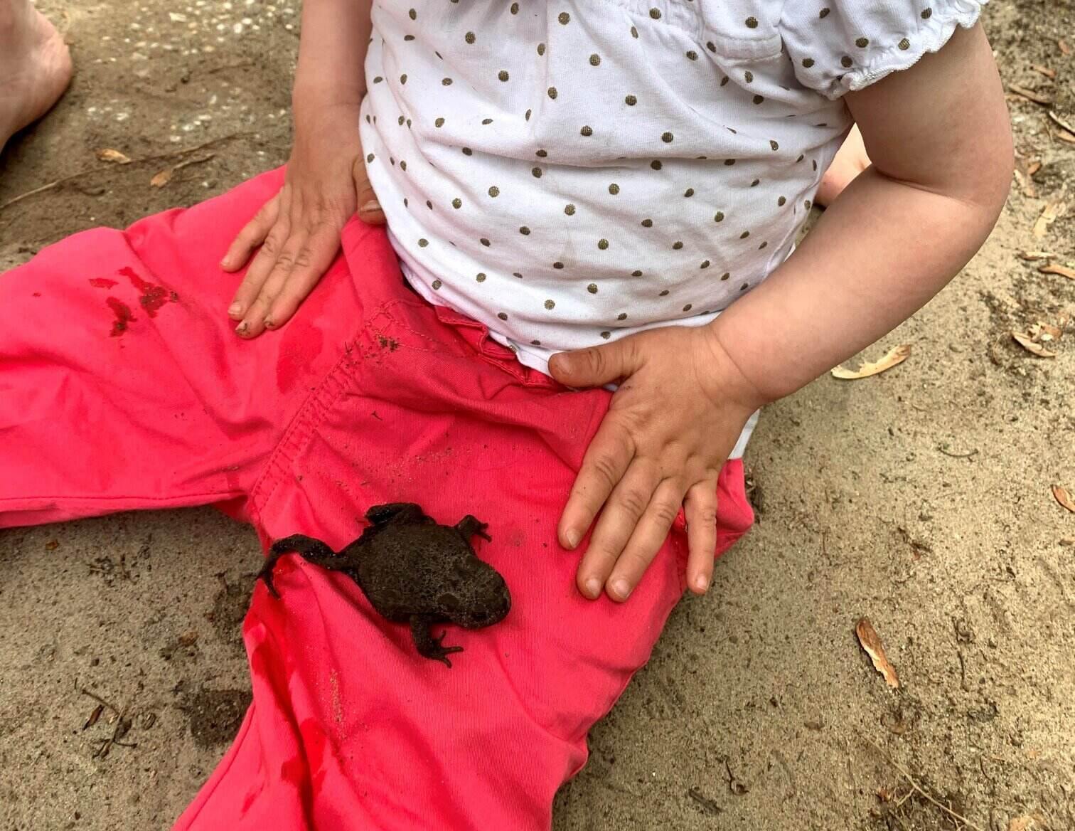 Duurzaam leven de natuur in